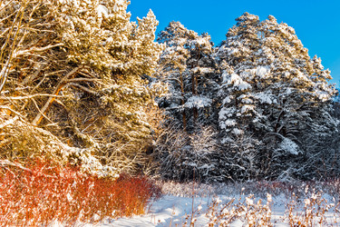 Similar image 21381617