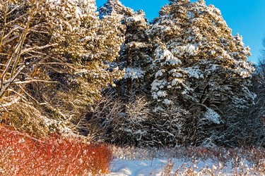 Similar image 21381618