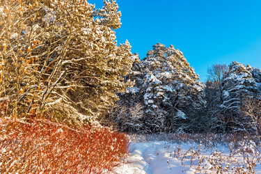 Similar image 21381619