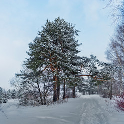 Similar image 21381628