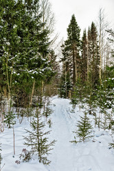 Similar image 21381630