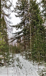 Similar image 21381631