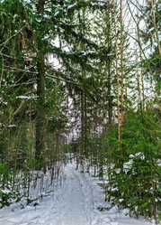 Similar image 21381632