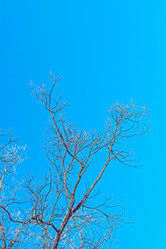 Similar image 21381635