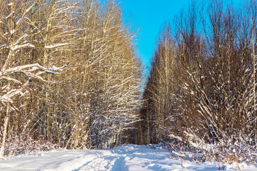 Similar image 21381637