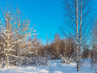 Similar image 21381638