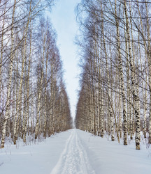 Similar image 21381641