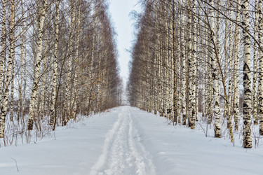 Similar image 21381643