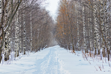 Similar image 21381645