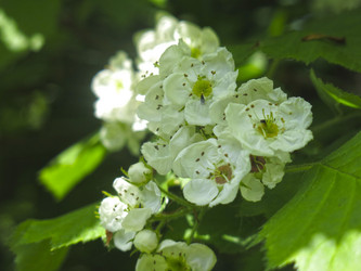 Similar image 21375758