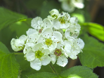 Similar image 21375759