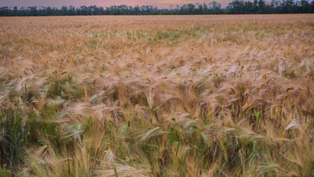 Similar image 21376053