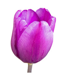 Similar image 21376054