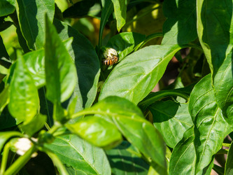 Similar image 21376057