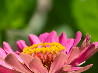 Similar image 21376058