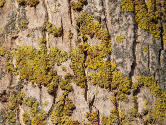 Similar image 21376059