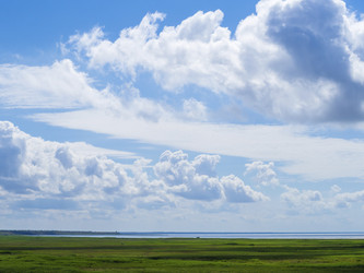 Similar image 21376060