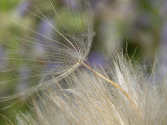 Similar image 21376061