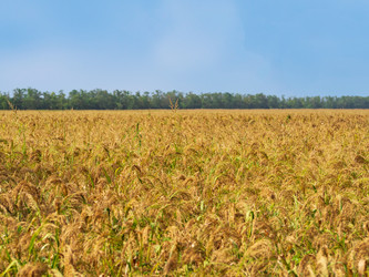 Similar image 21376067