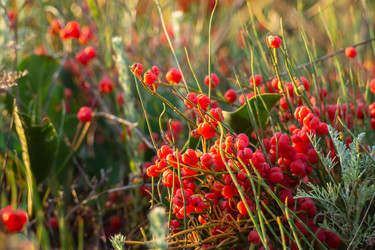 Similar image 21376069