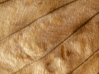 Similar image 21376072