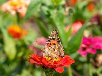 Similar image 21376073