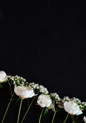 Similar image 21381977