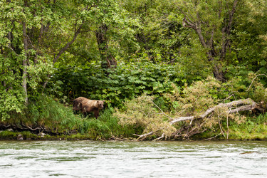 Similar image 21381749