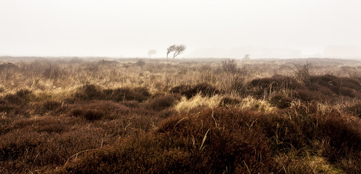 Similar image 21381753