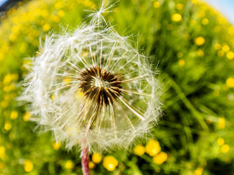 Similar image 21381756