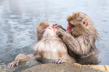 Similar image 21381760