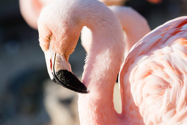 Similar image 21381765