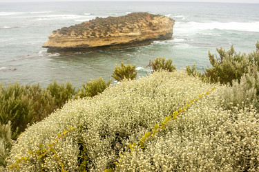 Similar image 21381770