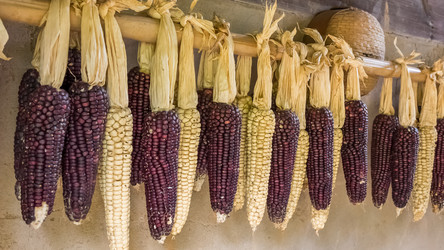 Similar image 21381773