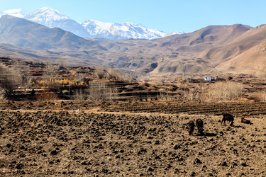 Similar image 21381783