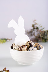 Similar image 21381726