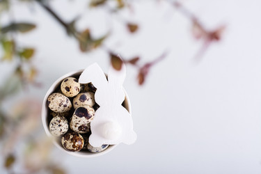 Similar image 21381727