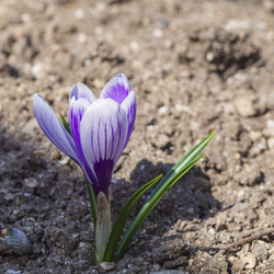 Similar image 21381805