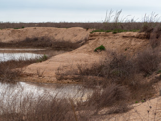 Similar image 21381815