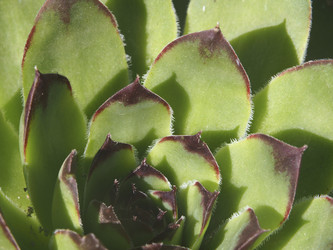 Similar image 21381820