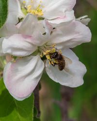 Similar image 21381822