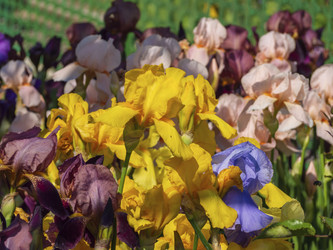 Similar image 21381824