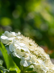 Similar image 21381827