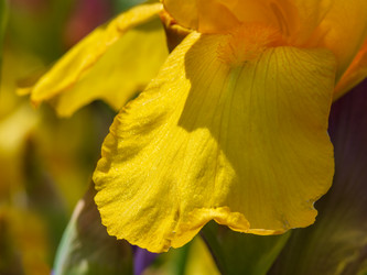 Similar image 21381830