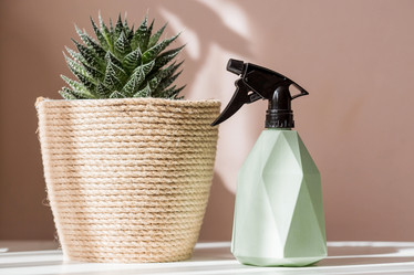 Similar image 21381682