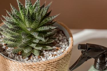 Similar image 21381683