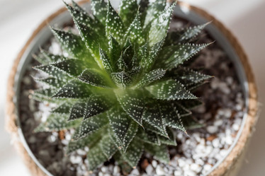 Similar image 21381684