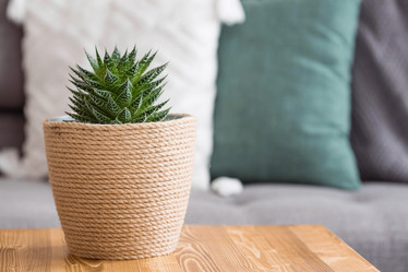 Similar image 21381685