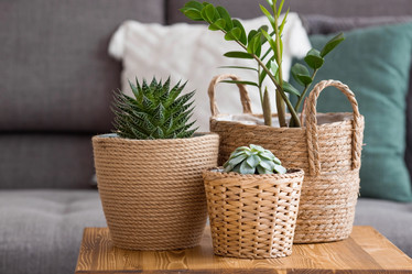 Similar image 21381686