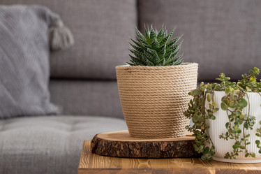 Similar image 21381689